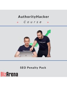 SEO & Traffic at BizArena