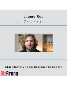 SEO & Traffic at BizArena