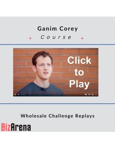 Business Growth at BizArena