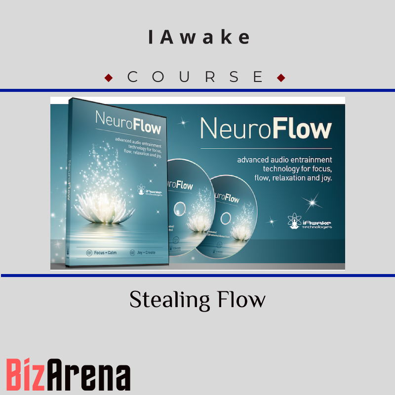 IAwake -Stealing Flow Image