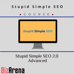 SEO & Traffic at BizArena