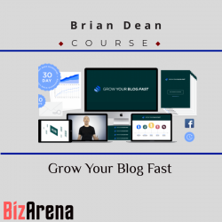 Blog Growth at BizArena
