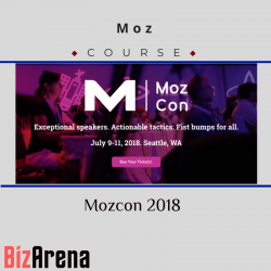 SEO & Traffic at BizArena