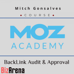 SEO & Traffic at BizArena