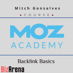 SEO & Traffic at BizArena