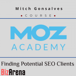 SEO & Traffic at BizArena
