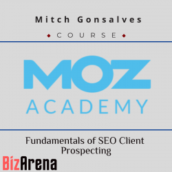 SEO & Traffic at BizArena