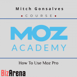 SEO & Traffic at BizArena