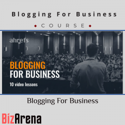 Business Growth at BizArena
