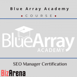 SEO & Traffic at BizArena