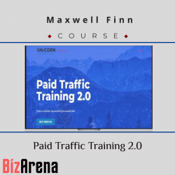 SEO & Traffic at BizArena