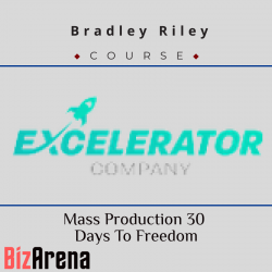 Business Growth at BizArena
